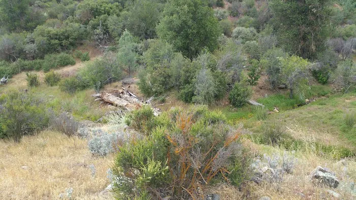 La Panza Campground 4