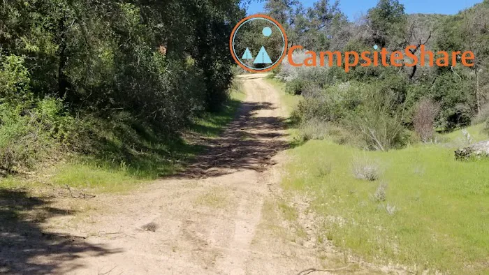 Queen Bee Campground 1