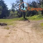 Queen Bee Campground
