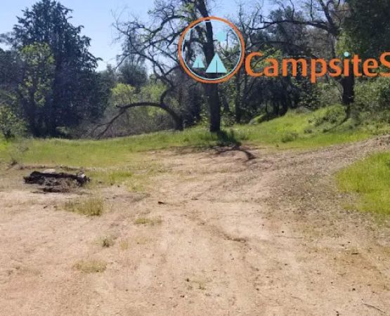 Queen Bee Campground