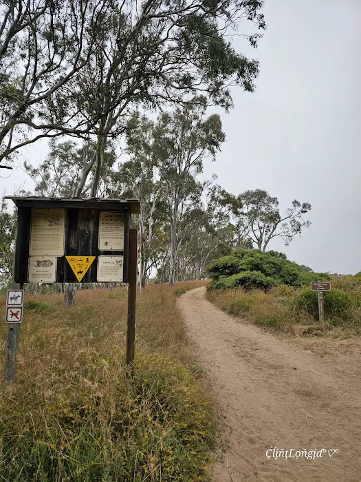Environmental camp #2 0