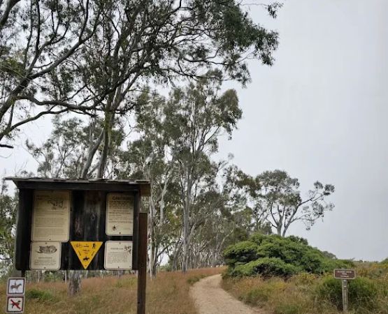 Environmental camp #2