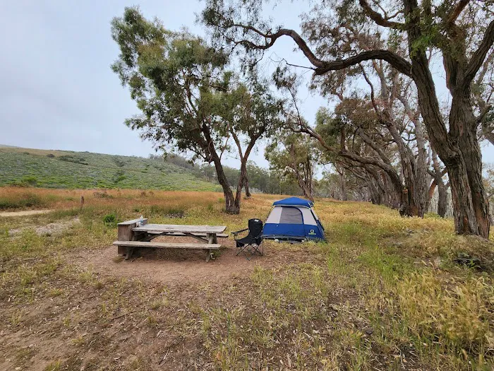 Environmental camp #2 6