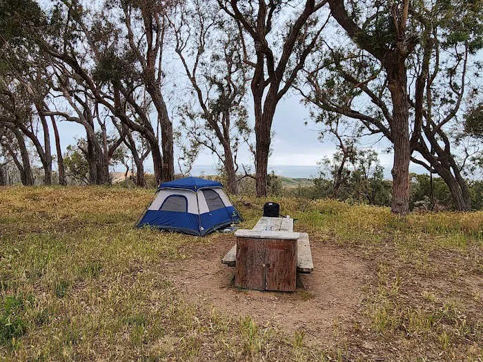 Environmental camp #2 4