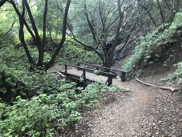 Cerro Alto Campground 6