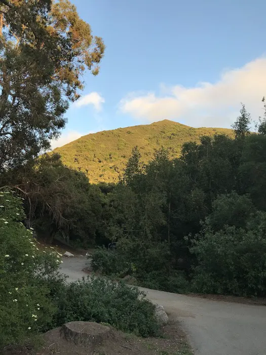 Cerro Alto Campground 5