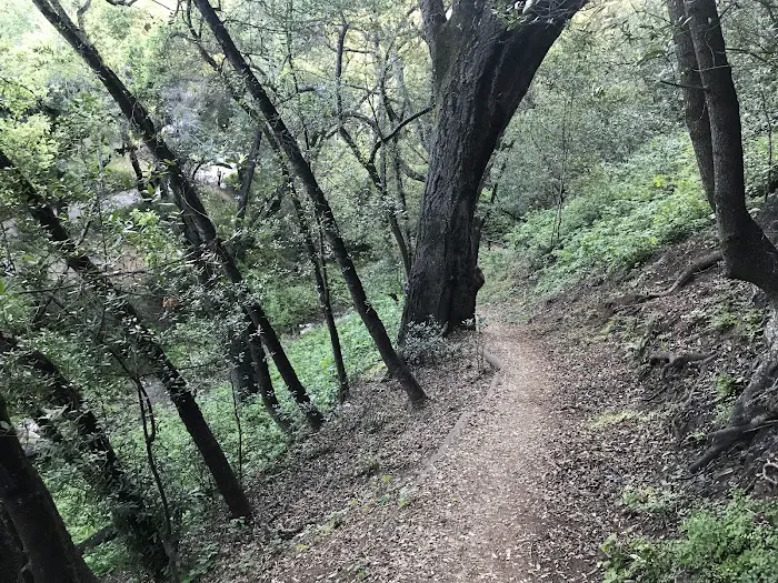 Cerro Alto Campground 7