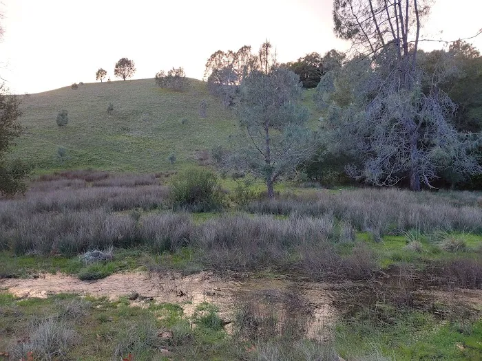 Turkey Springs Campground 0