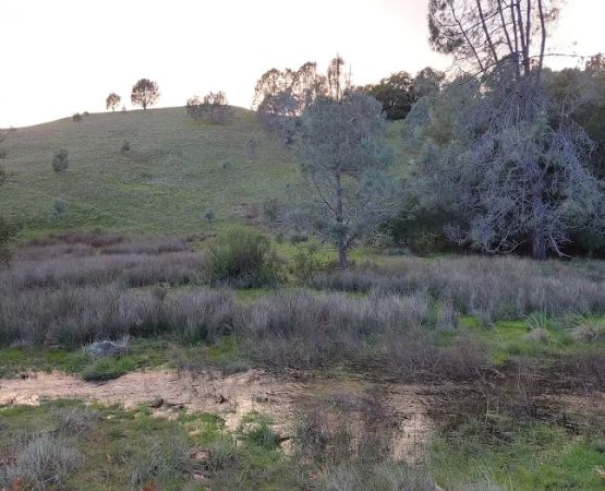 Turkey Springs Campground