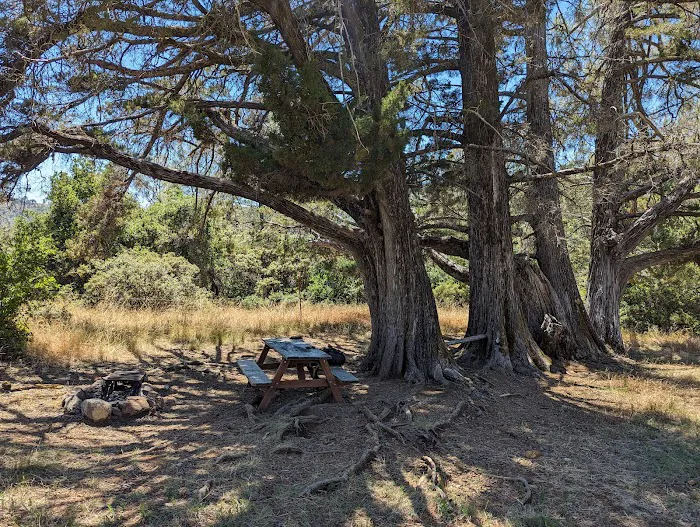 Dutra Flat Campground 5