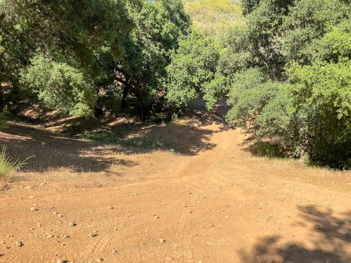 Paradise Campground 6