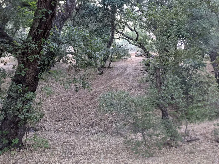 Paradise Campground 2