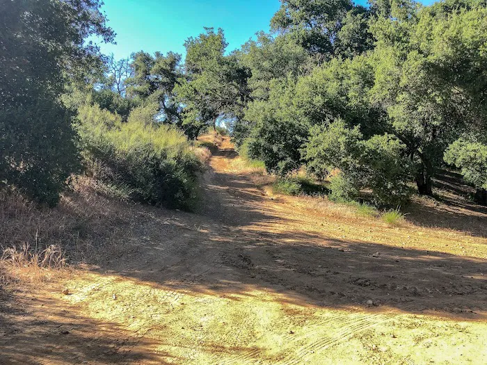 Paradise Campground 4