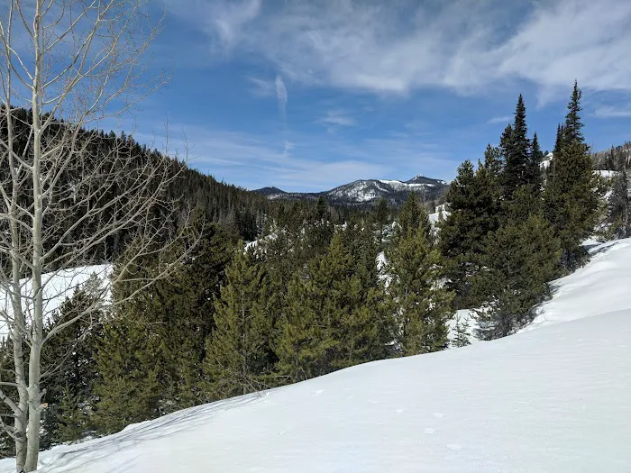Hahns Peak Lake Picnic Site 6