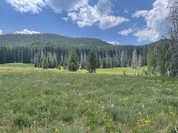 Hahns Peak Lake Picnic Site 0