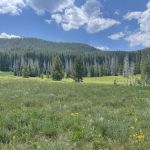 Hahns Peak Lake Picnic Site