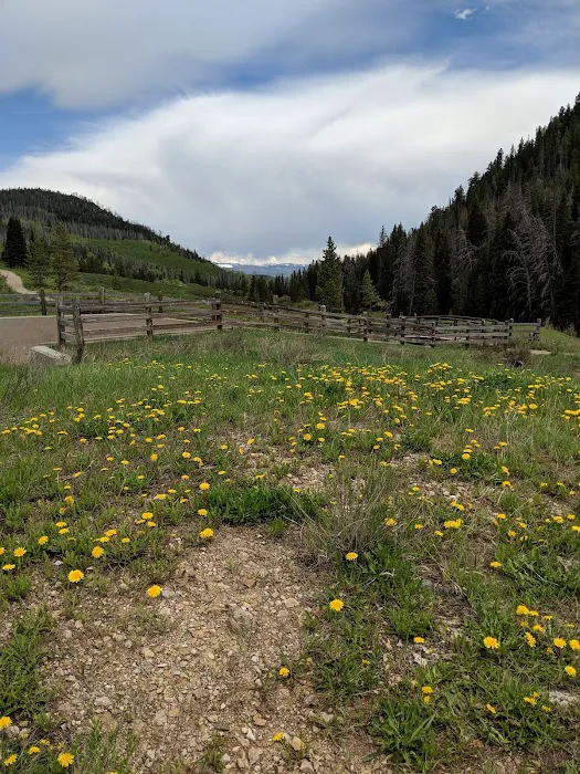 Hahns Peak Lake Picnic Site 9