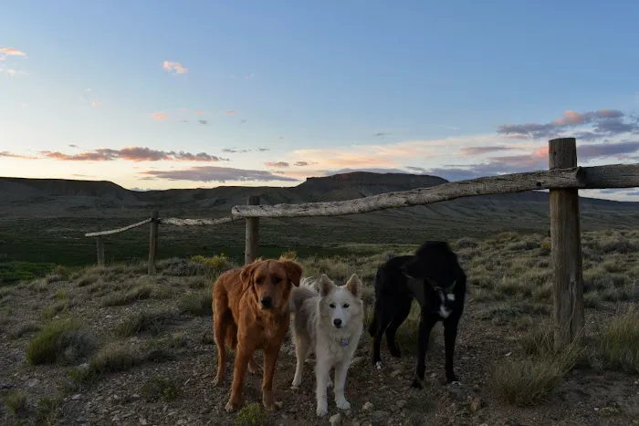 Teton Reservoir BLM Campground 8