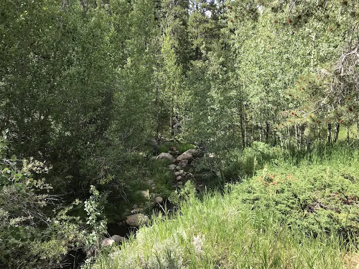 Cottonwood Campground 1