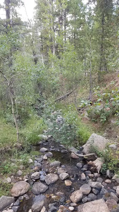Cottonwood Campground 9