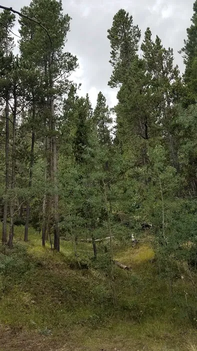 Cottonwood Campground 5