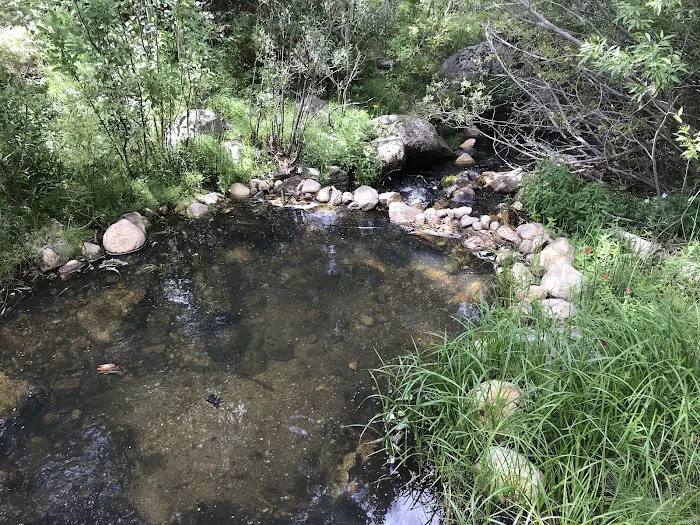 Cottonwood Campground 4