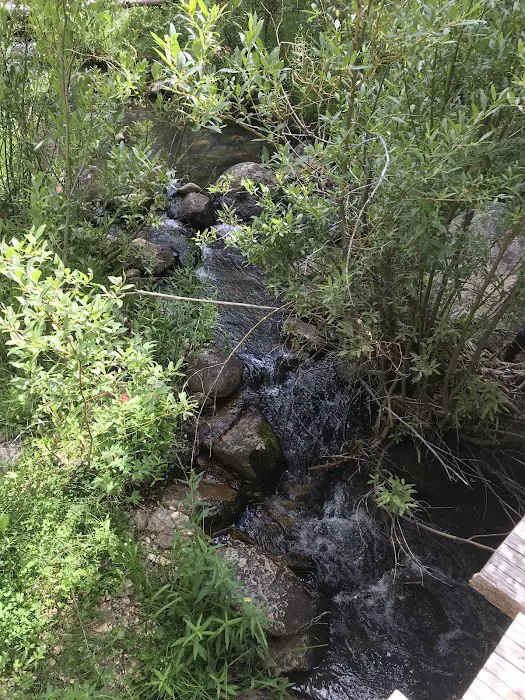 Cottonwood Campground 6