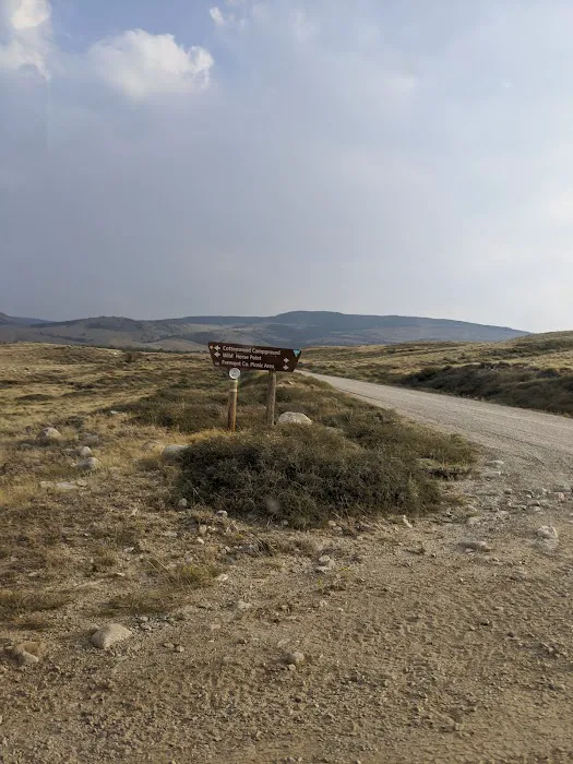 Cottonwood Campground 3