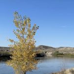 Chalk Bluffs Campground