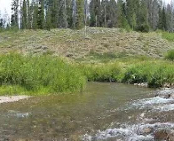 Hobble Creek Campground