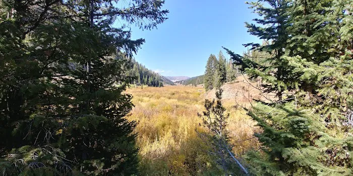 Hobble Creek Campground 1