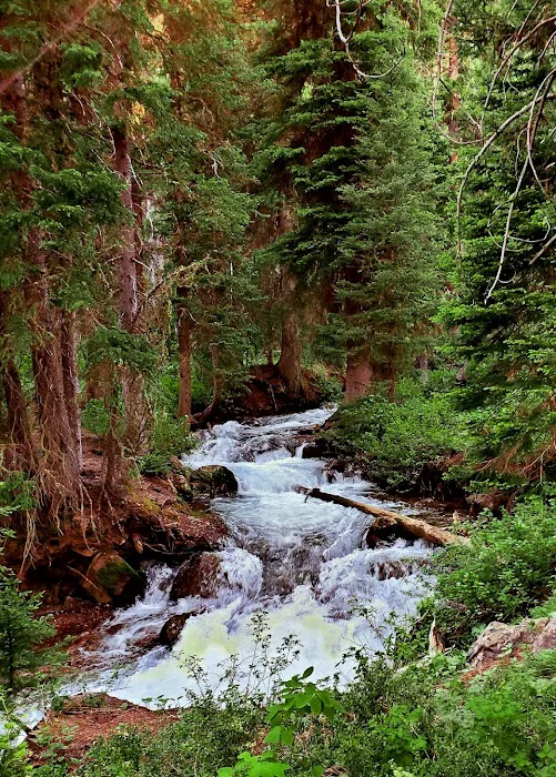 Cottonwood Lake Group Campground 6