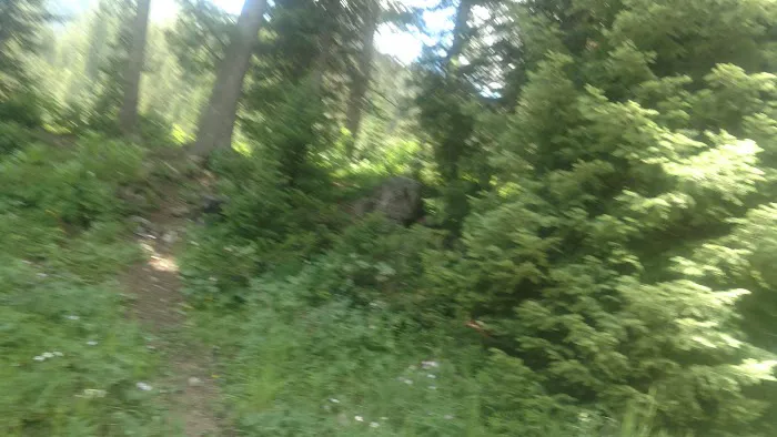 Cottonwood Lake Group Campground 8