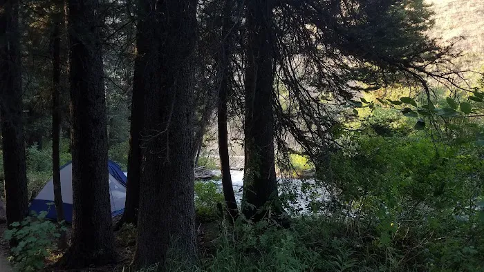 Swift Creek Campground 1