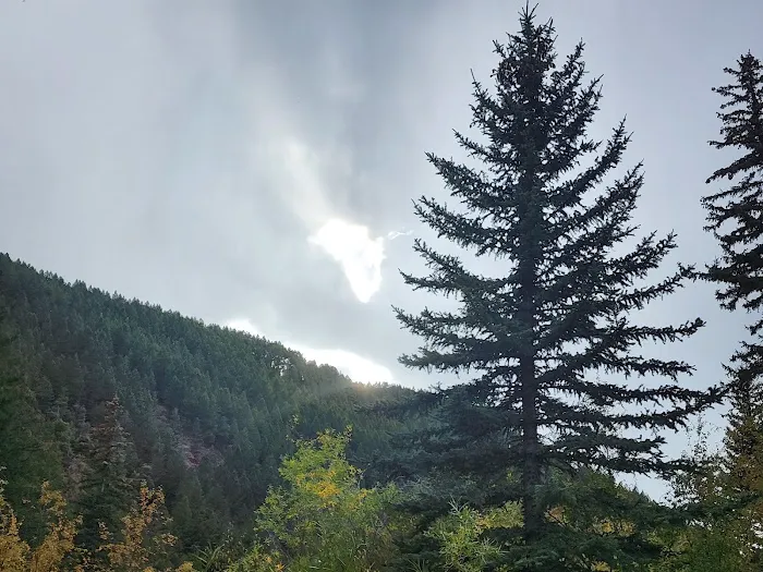 Swift Creek Campground 3