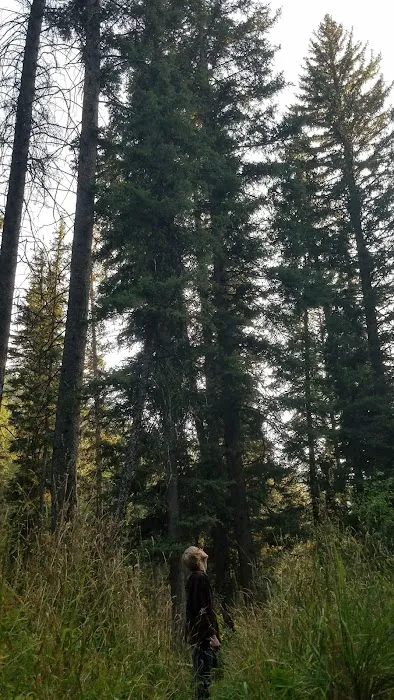 Swift Creek Campground 2
