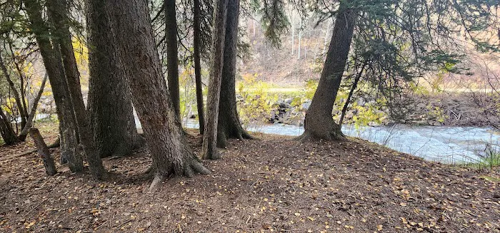 Swift Creek Campground 9