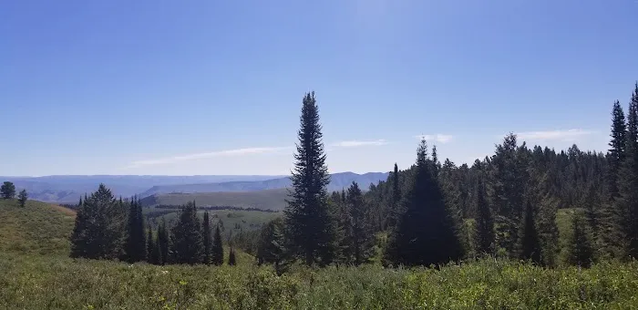 Montpelier Canyon Campground 6