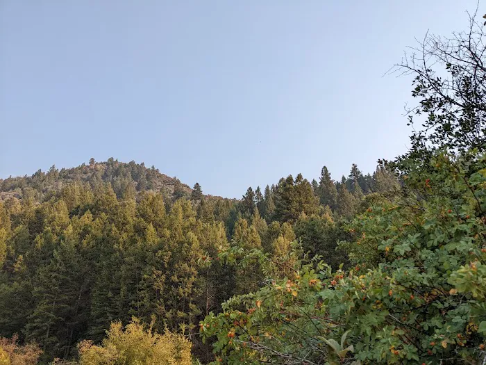 Montpelier Canyon Campground 1