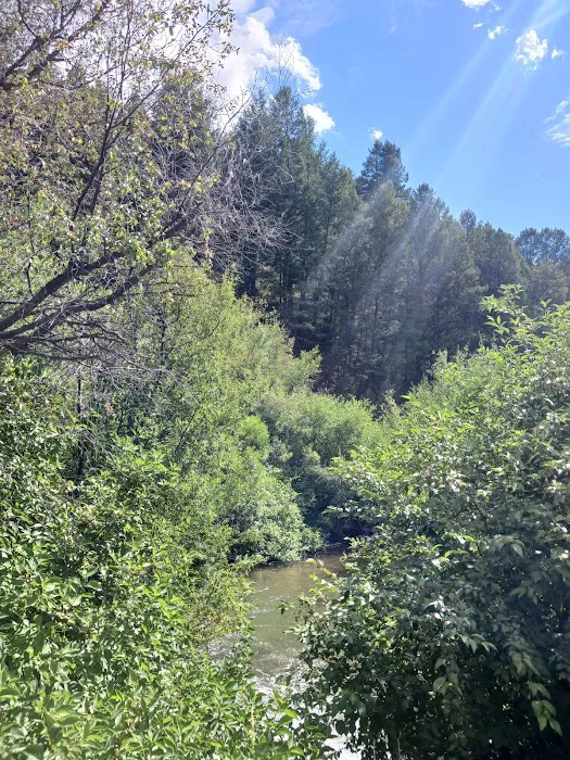 Montpelier Canyon Campground 8