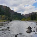 Newton Creek Campground