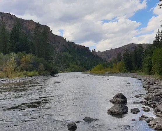 Newton Creek Campground