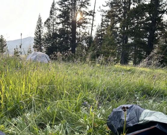 Mist Creek Meadows 3T2