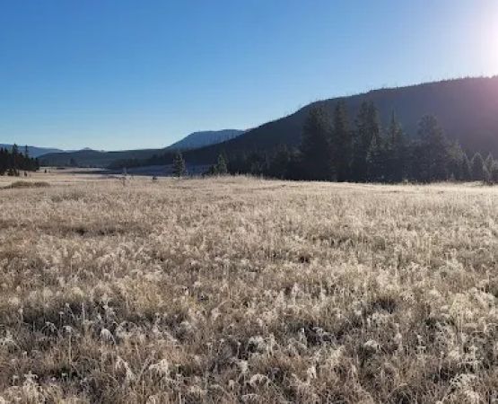 Mist Creek Pass 3T3