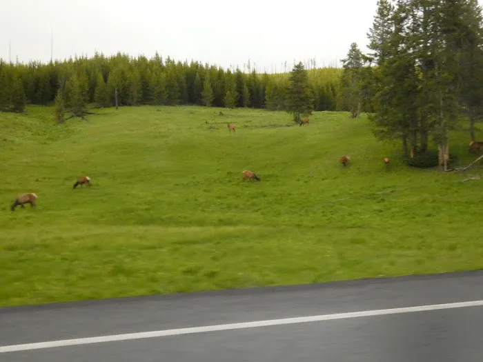 Elk Fork Campground 9