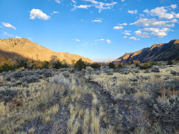 Wapiti Campground 6