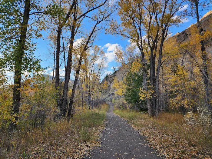 Wapiti Campground 4