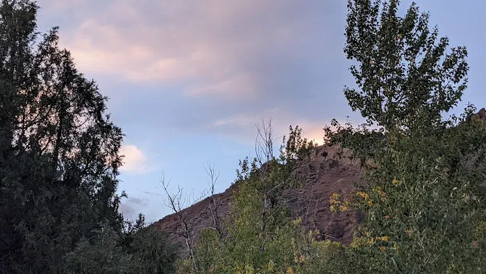Wapiti Campground 9