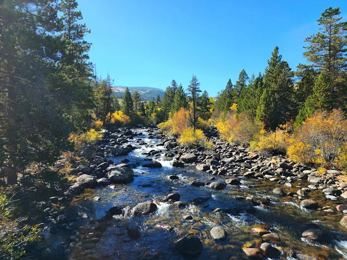 Sinks Canyon Campground 0