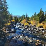Sinks Canyon Campground